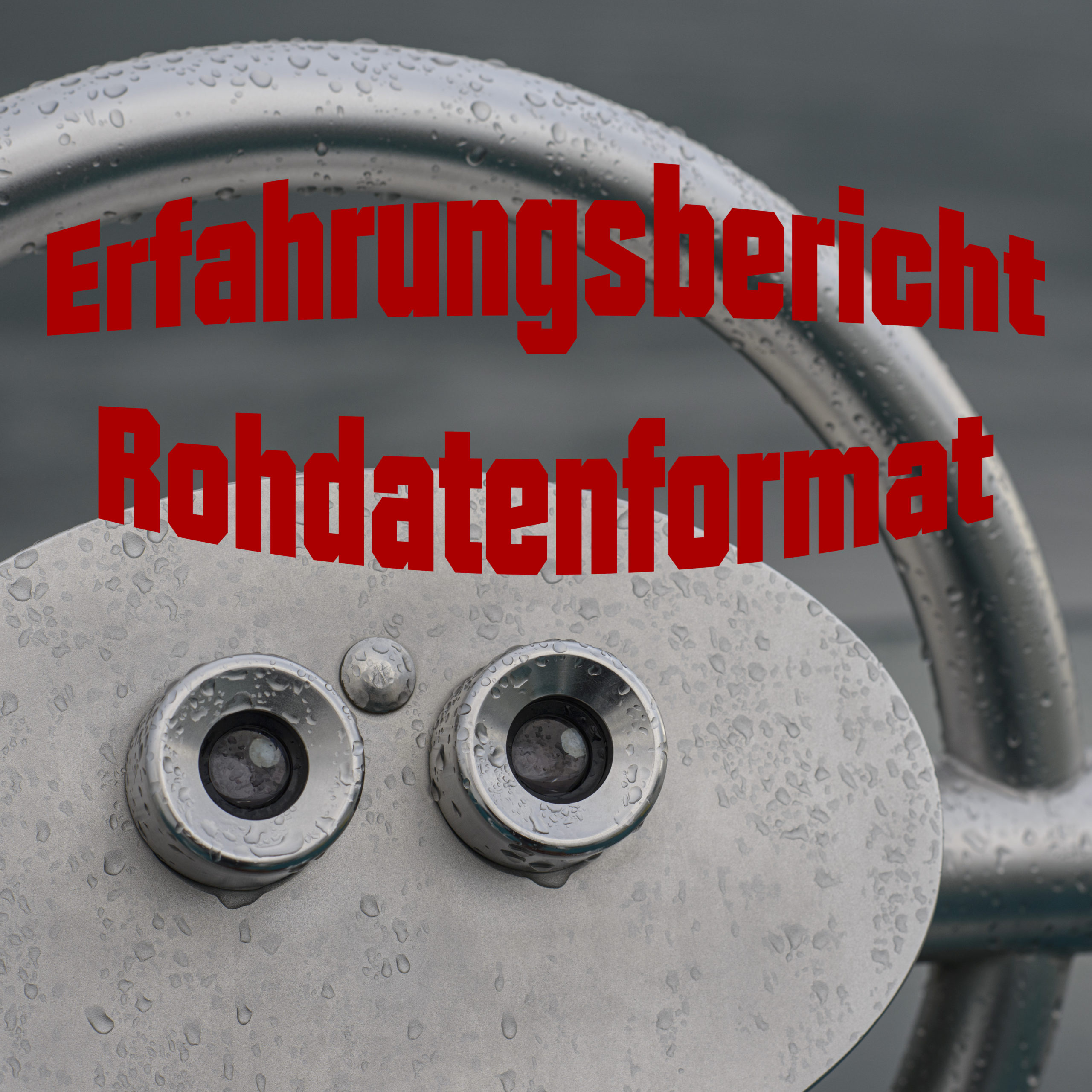 Erfahrungsbericht Rohdatenformat